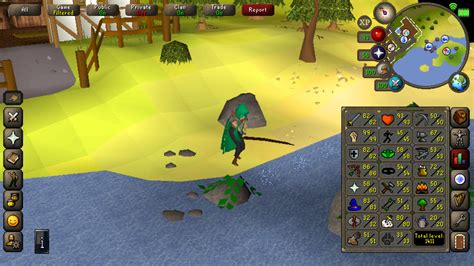 RuneScape: A Timeless MMORPG Filled With Adventure and Customization!