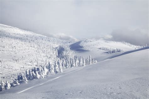 長野市 短期バイト：雪国のアルバイト体験とその魅力